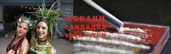 твердый Каменка